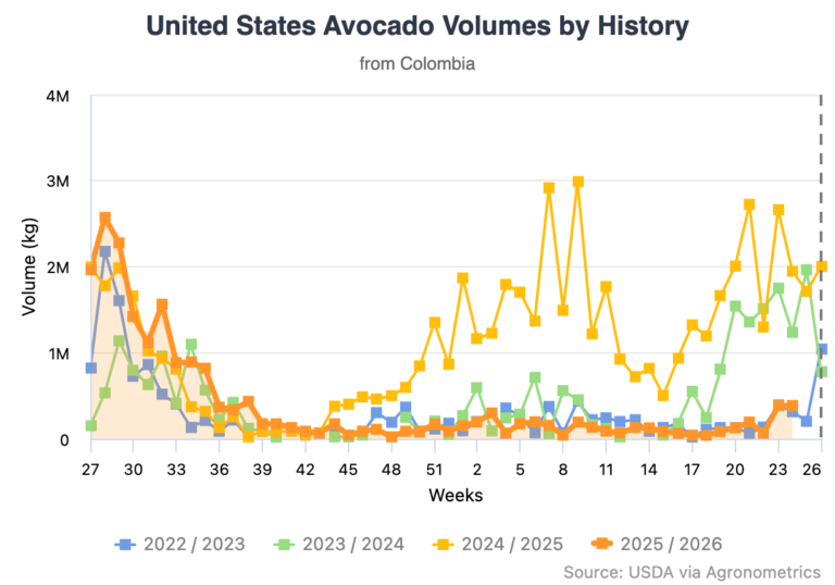 Colombian Avocados