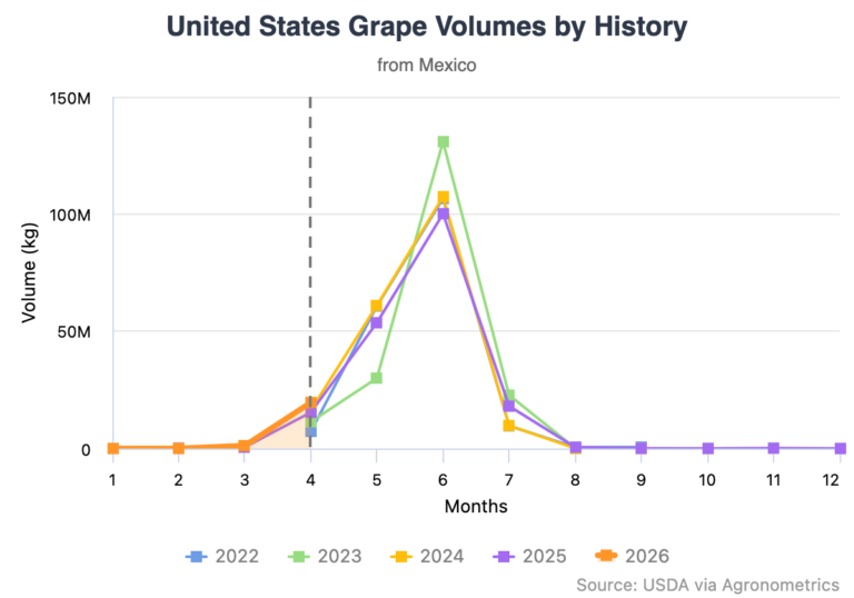 Mexican grape volumes
