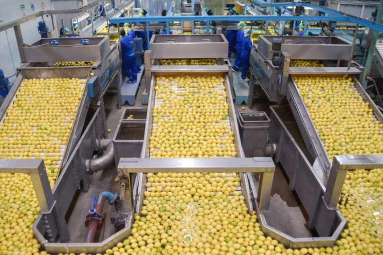 Argentine lemon