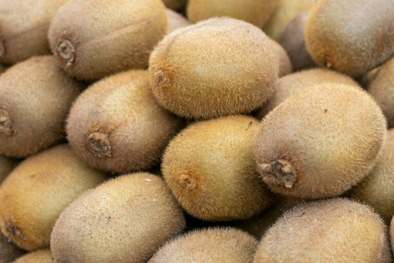 Chilean kiwifruit