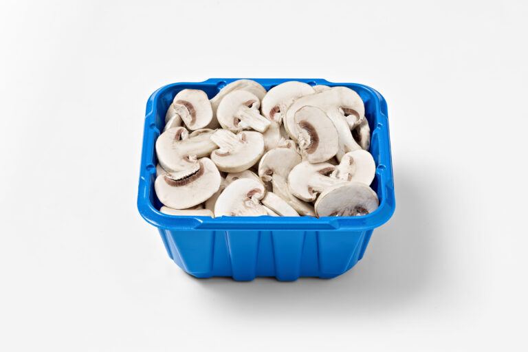 Giorgi Companies mushrooms
