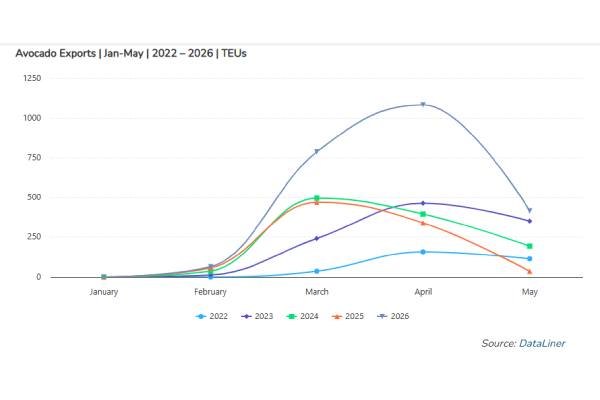 Brazil avocado exports