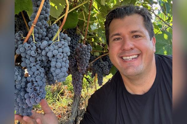 Sunny Cal Farms table grapes
