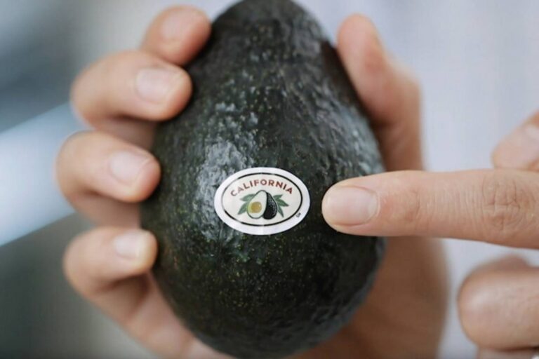 California avocados