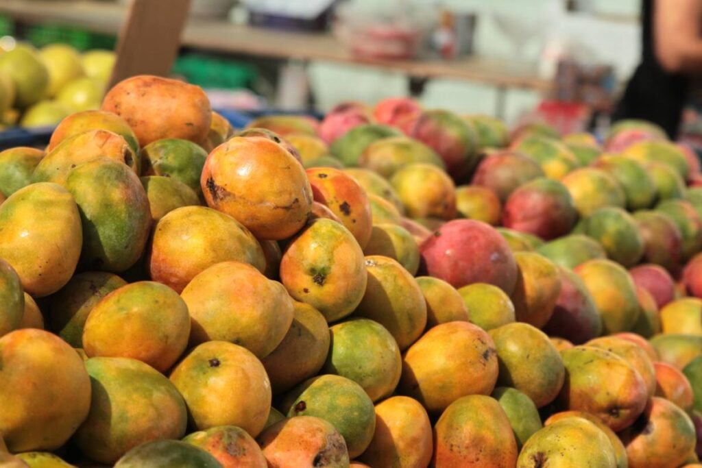 US suspends Dominican mango imports