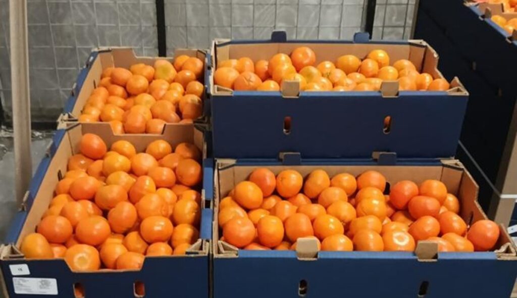 Ecuagroimport is consolidating its Tango mandarin exports to the United States
