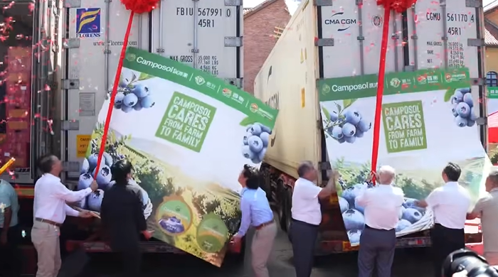 Camposol China rebrand