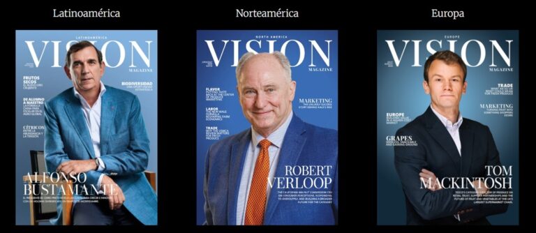 VIsion magazine editions