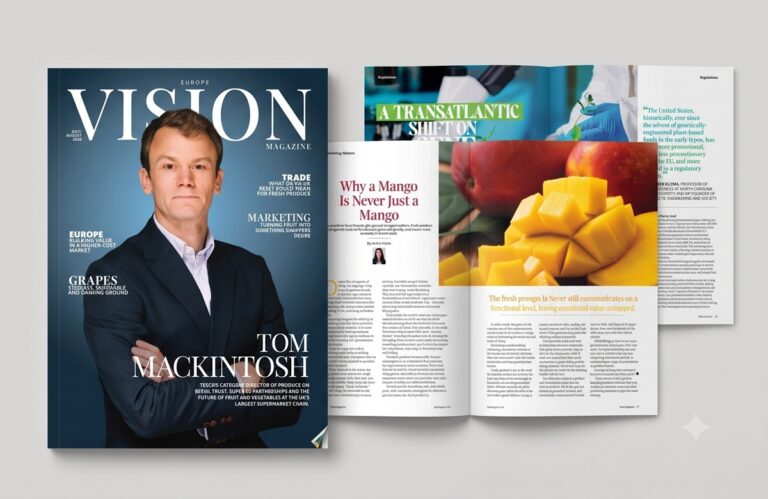 Vision Magazine Europe