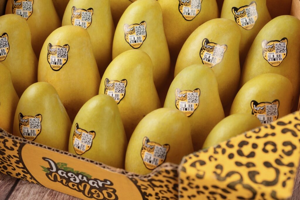 How Mexico’s Grupo Espléndido is using cause marketing to drive mango consumption