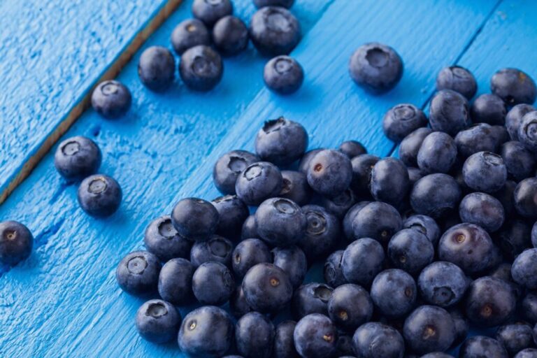 Peruvian blueberry
