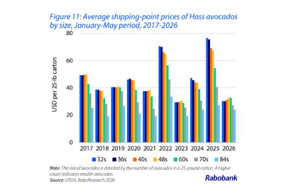 Avocado prices rabobank