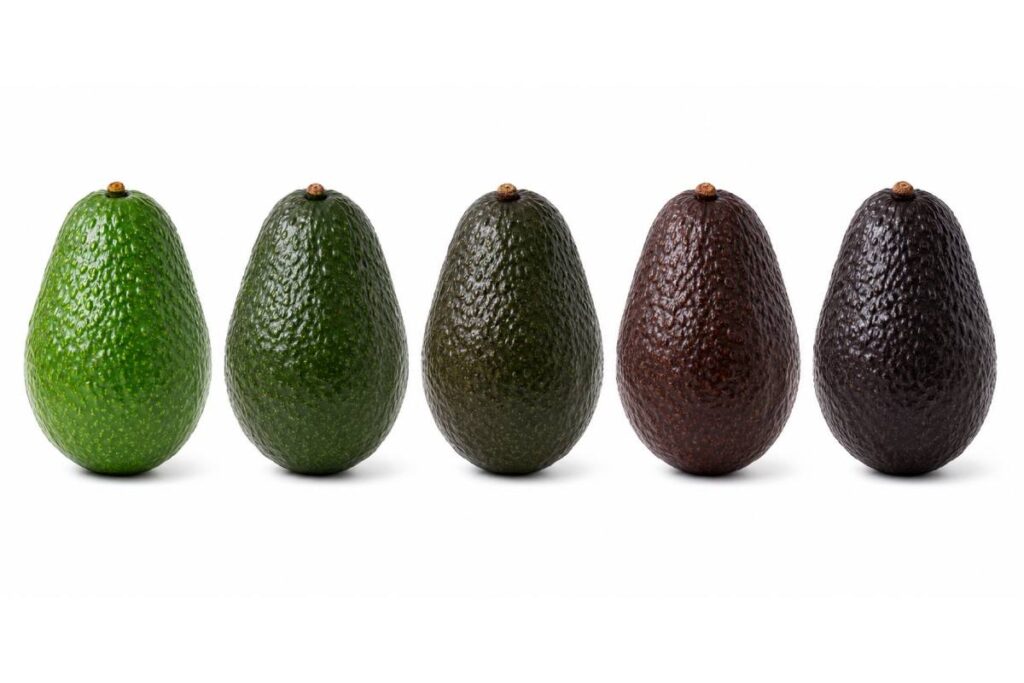 Avocado ripening: How Catalytic Generators supports the ready-to-eat trend with reliable ethylene application