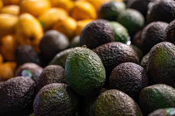 avocados