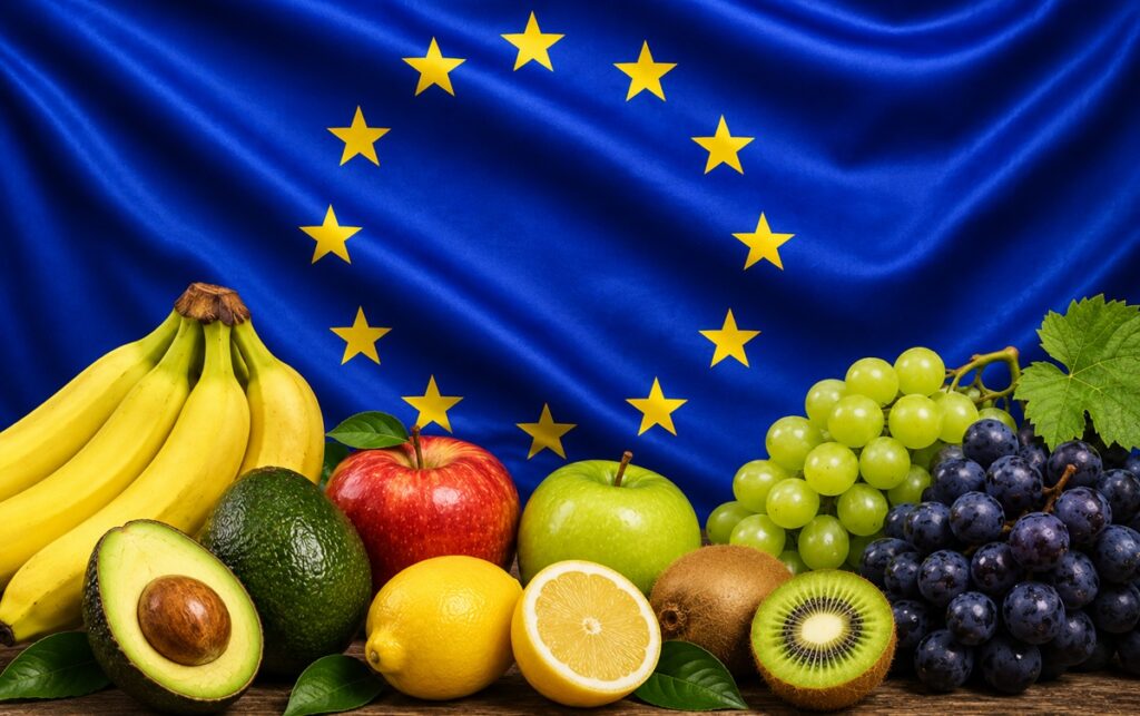 EU imports surge to $77B: Bananas, avocados, and grapes lead growth