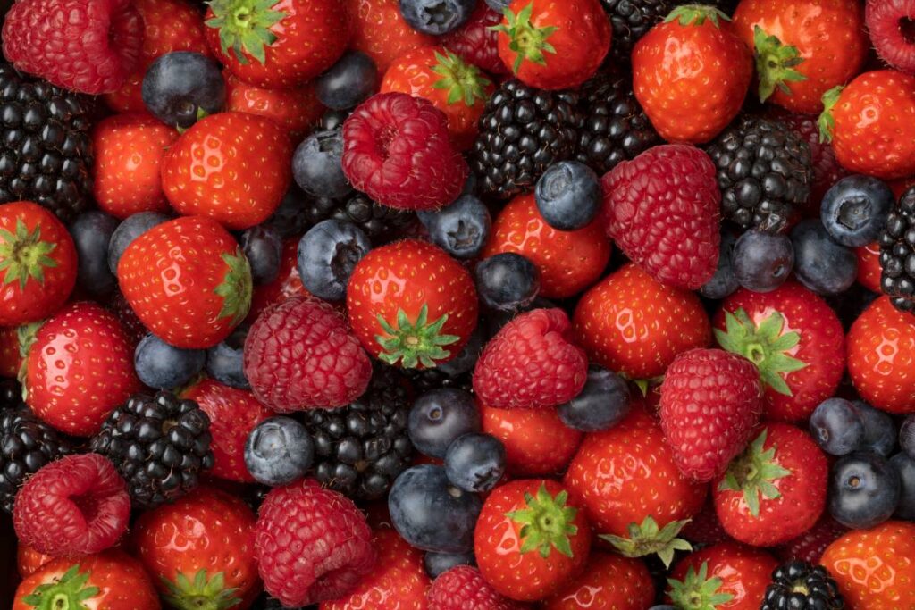 Aneberries President Miguel Ángel Curiel: The Mexican berry industry has solid foundations for growth