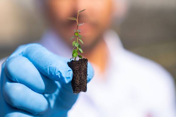 Hortifrut's berry genetics program