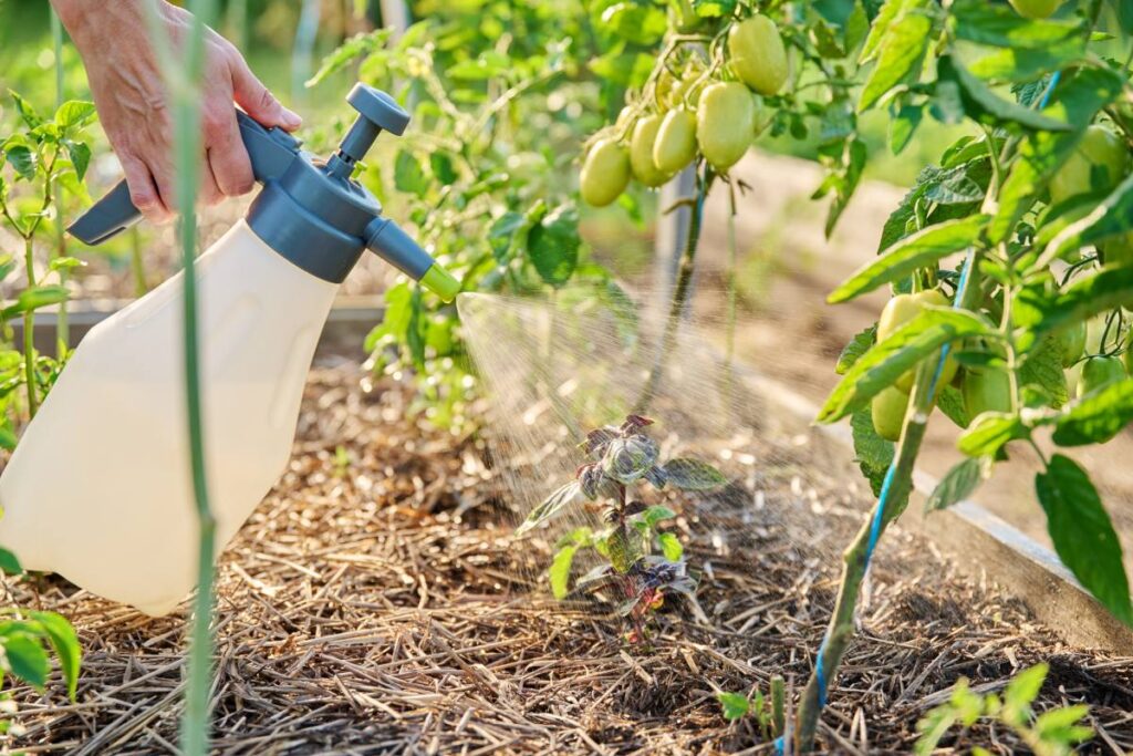 Biofertilizer market to expand to $6.94 billion by 2031