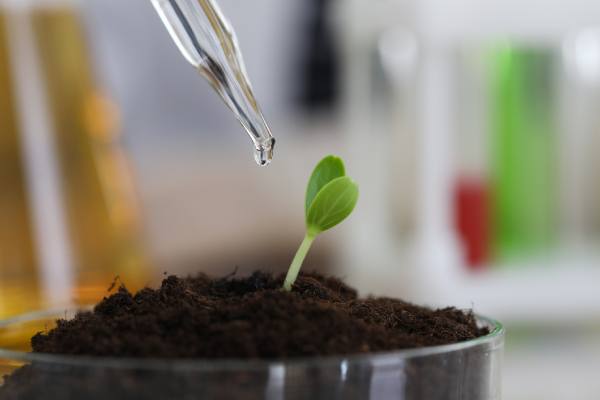 biofertilizer