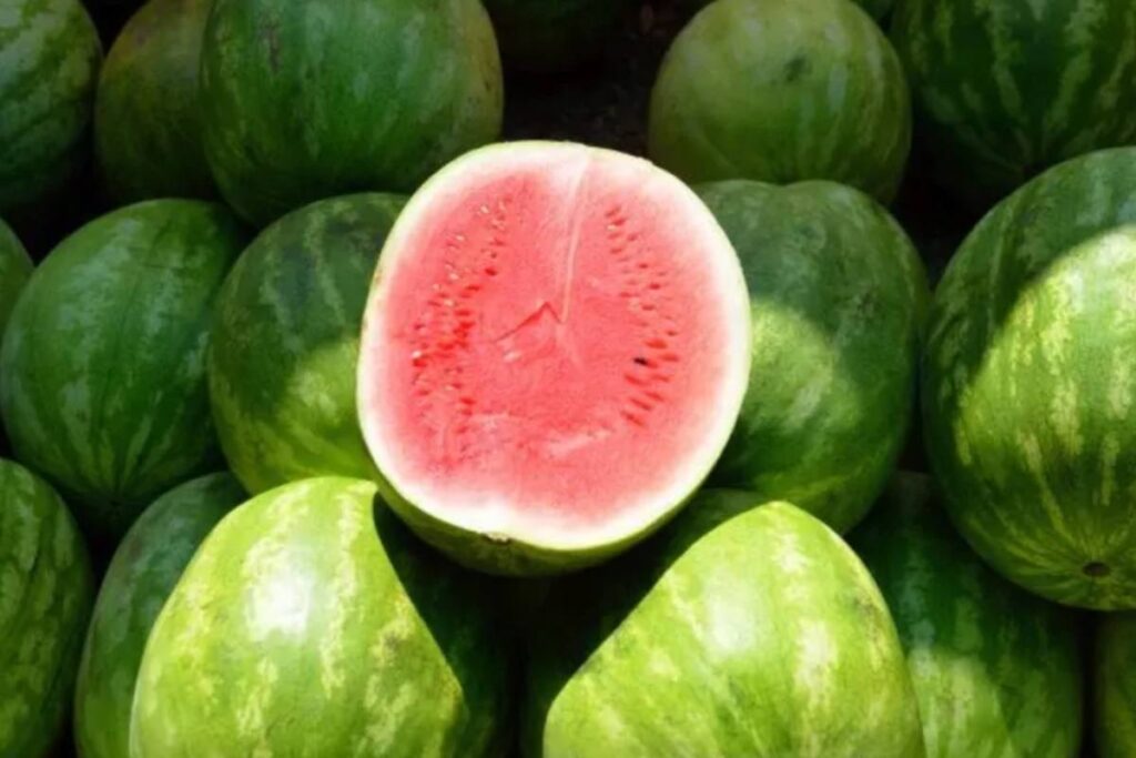 Less-than-sweet watermelons are driving prices to the ground in China 