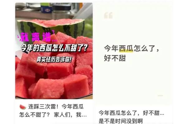 China watermelon comments on social media