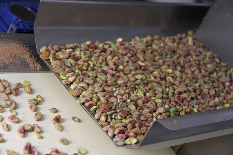 food allergies labeling