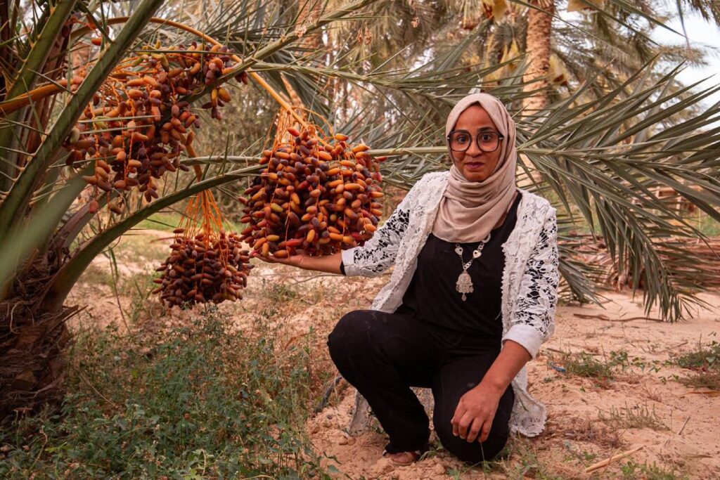 A date in the desert: How agricultural tradition becomes economic growth in Tunisia