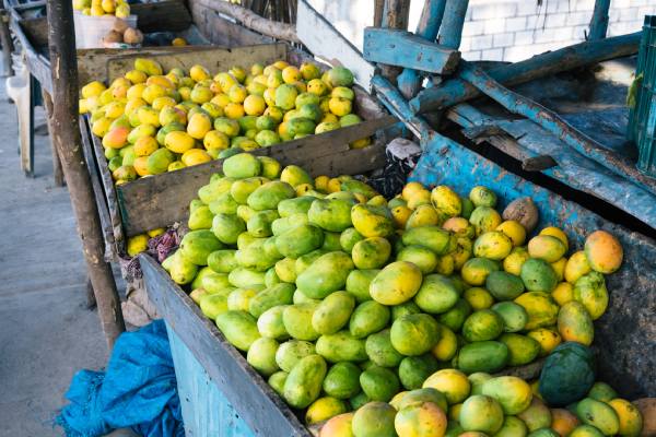 Dominican mango
