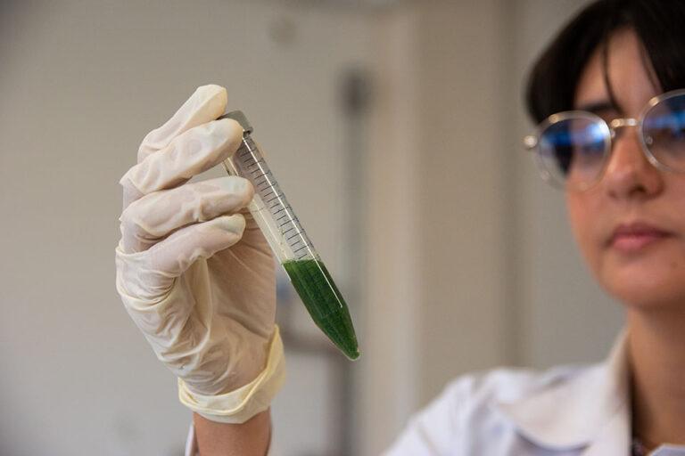 acai researcher