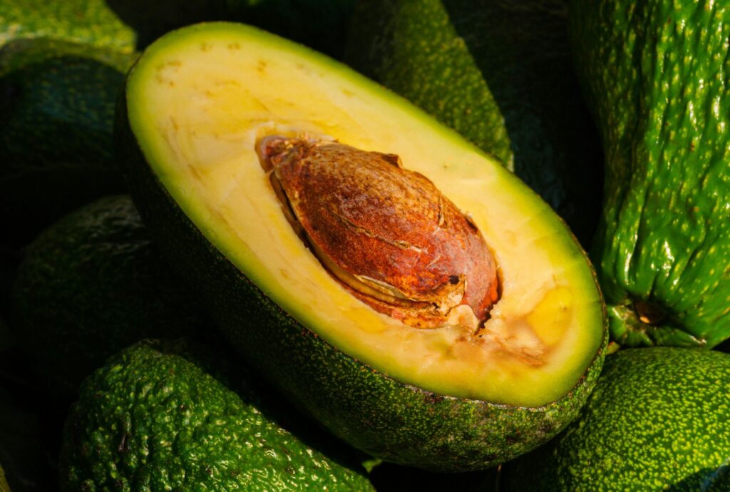 South American avocado exports smash records amid climate risk