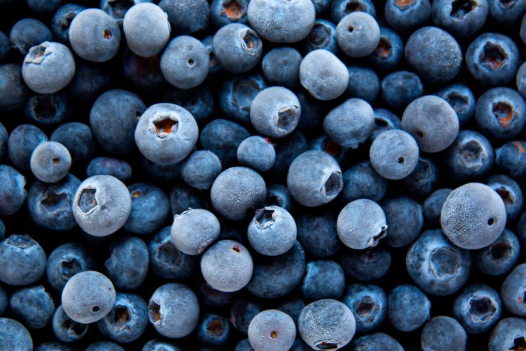 Publix recalls frozen blueberries over E.coli risk
