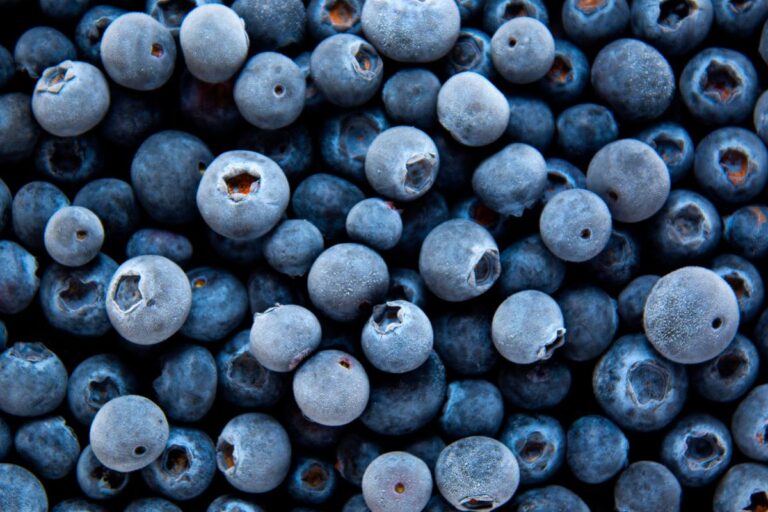 frozen blueberries