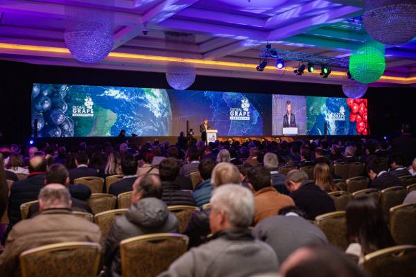 global grape convention