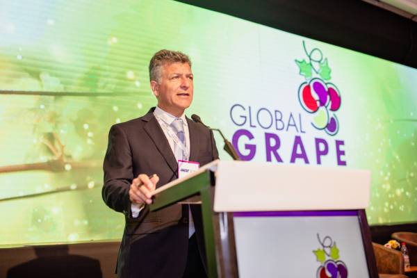 global grape convention