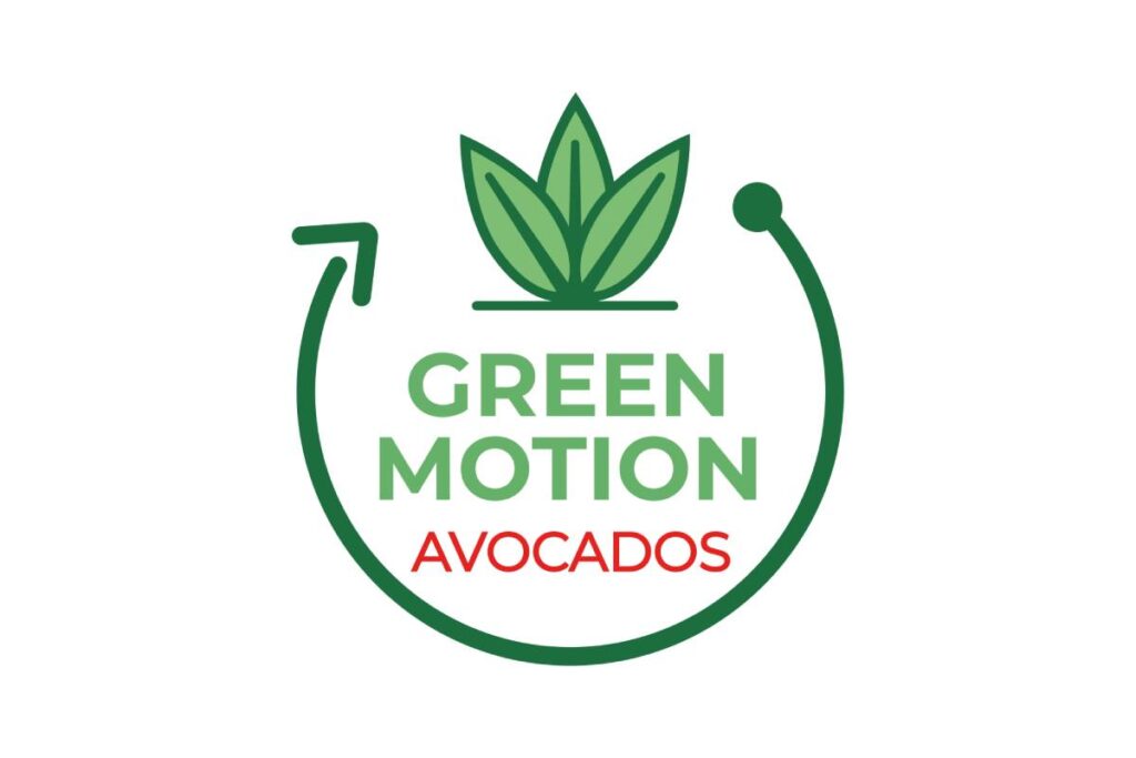 Leading companies in the sector confirm in Peru the potential of Green Motion’s new generation of avocados and rootstocks