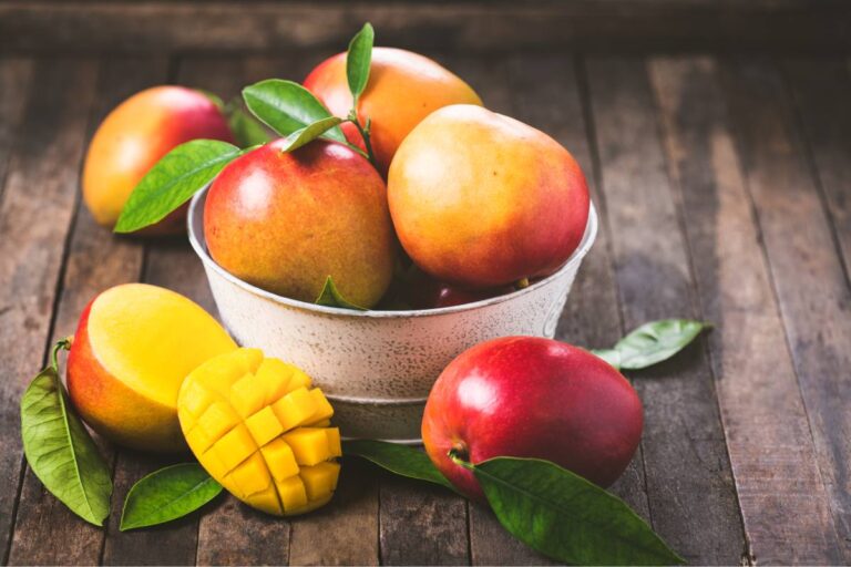 mango day