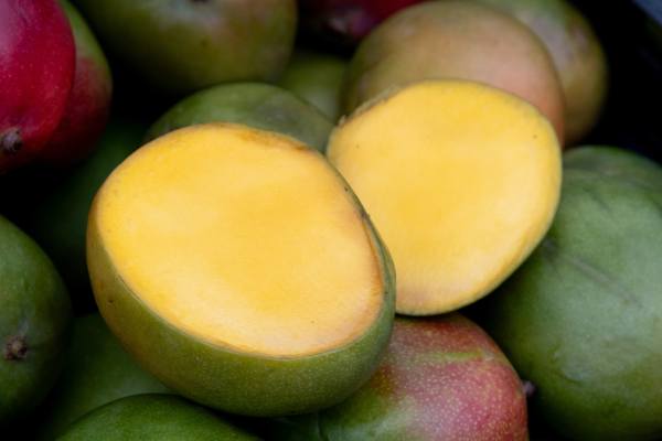 mango from mexico