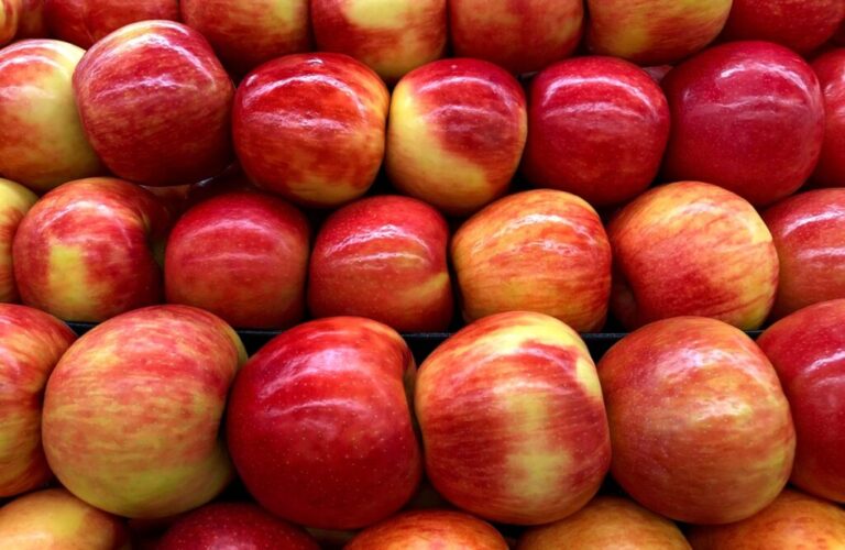 Brazilian apple