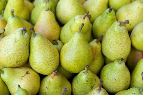 oregon pear