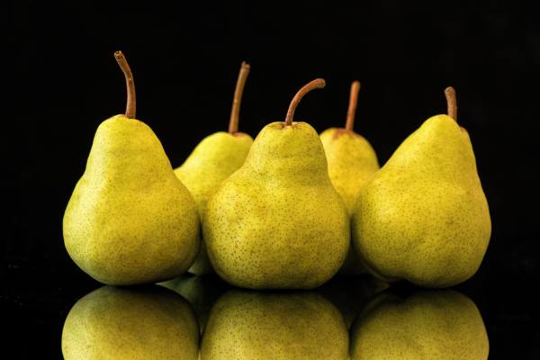 Argentine pears, potentially