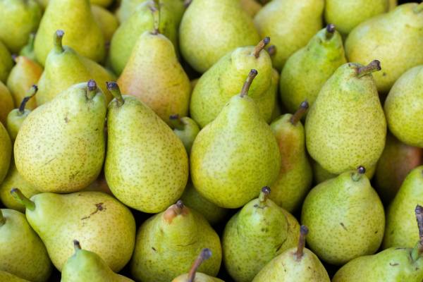 Argentine pears, potentially