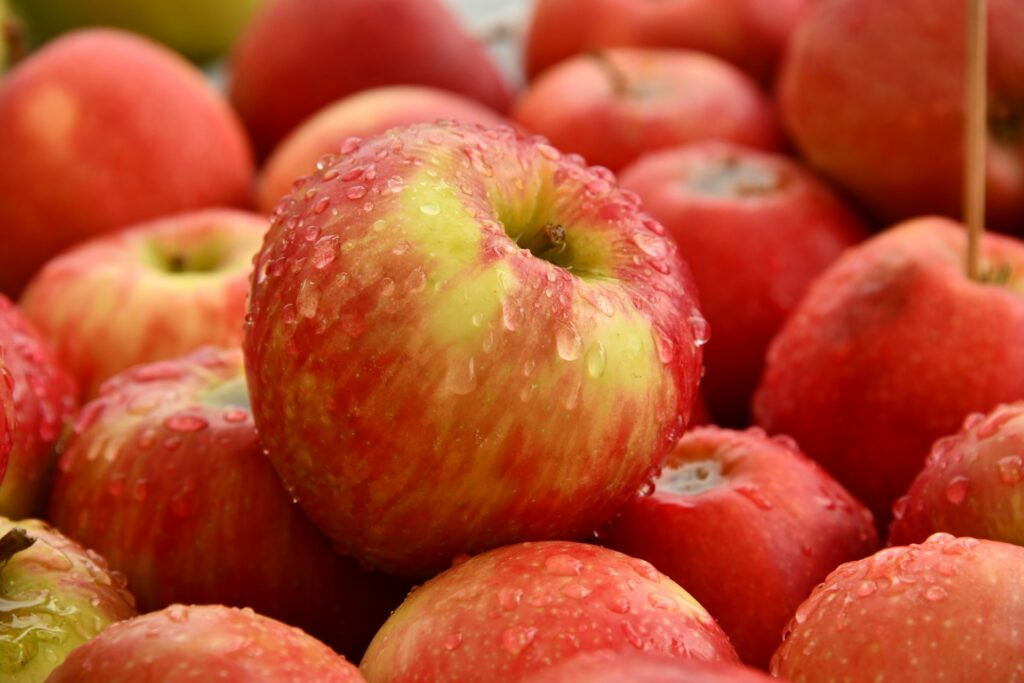 WSTFA scraps early-season apple crop estimates