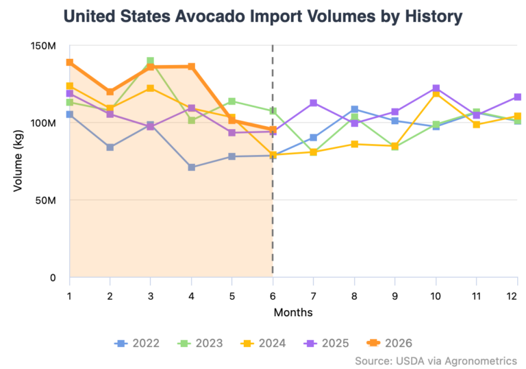 global avocado volumes