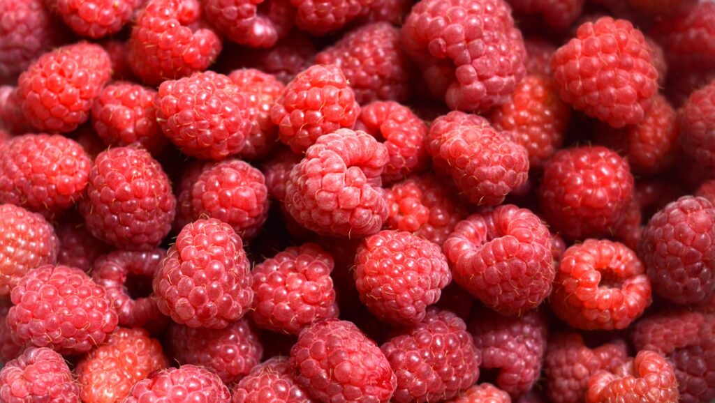 Agronometrics in Charts: California berry harvest hits full stride, raspberries leading growth