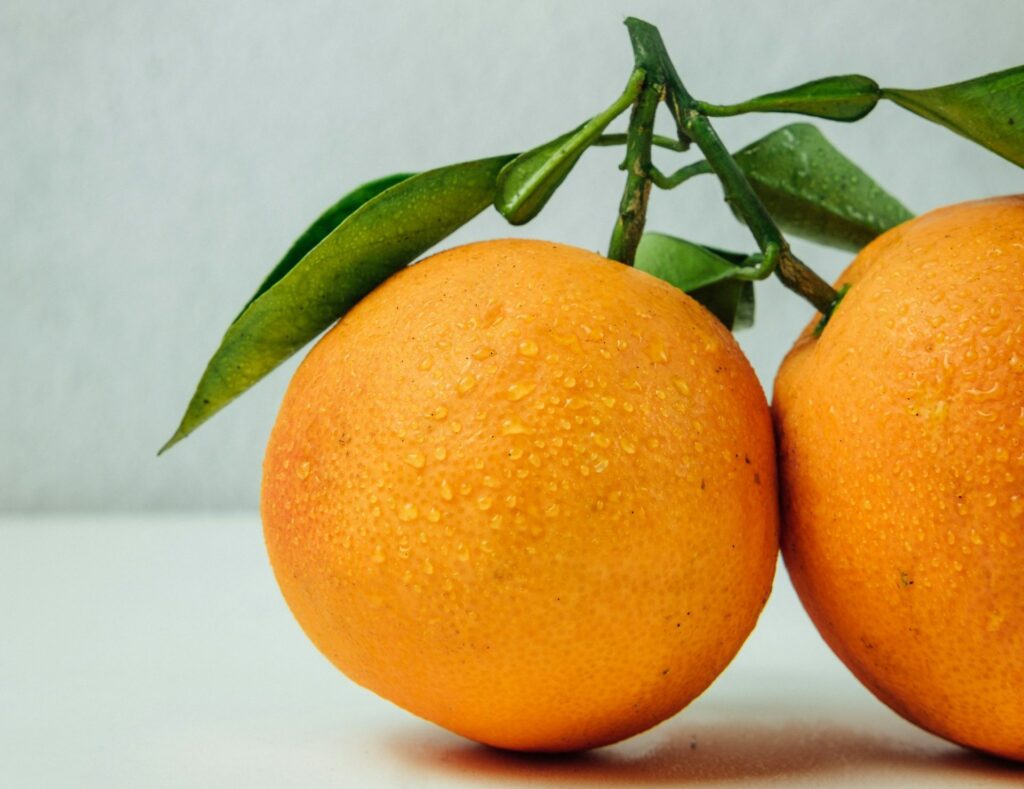 Brazilian citrus belt faces sour season on weather, disease-struck yields