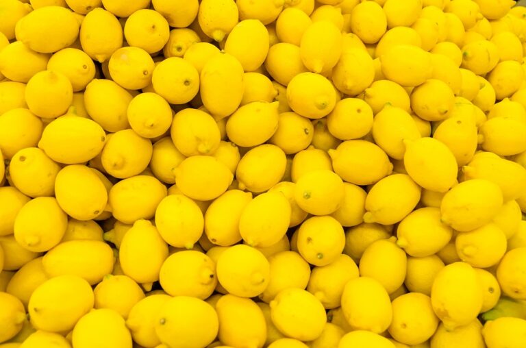 lemon citrus