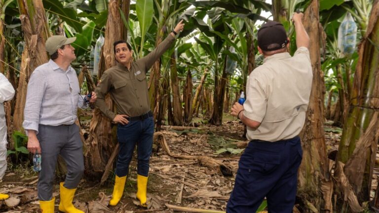 Ecuadorian banana visit