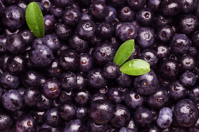 Brazilian acai