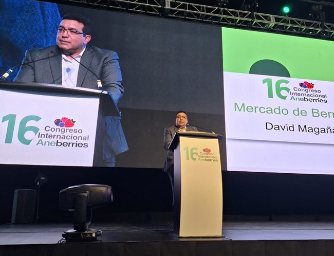 David Magaña rabobank