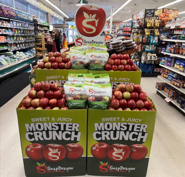 SnapDragon retail display